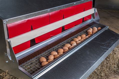 portable stainless steel extra large commercial chicken nest box|hengear rollout nest box.